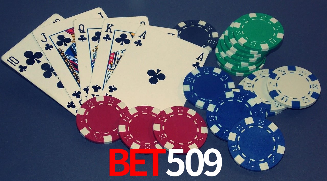 Basketball Betting bet509